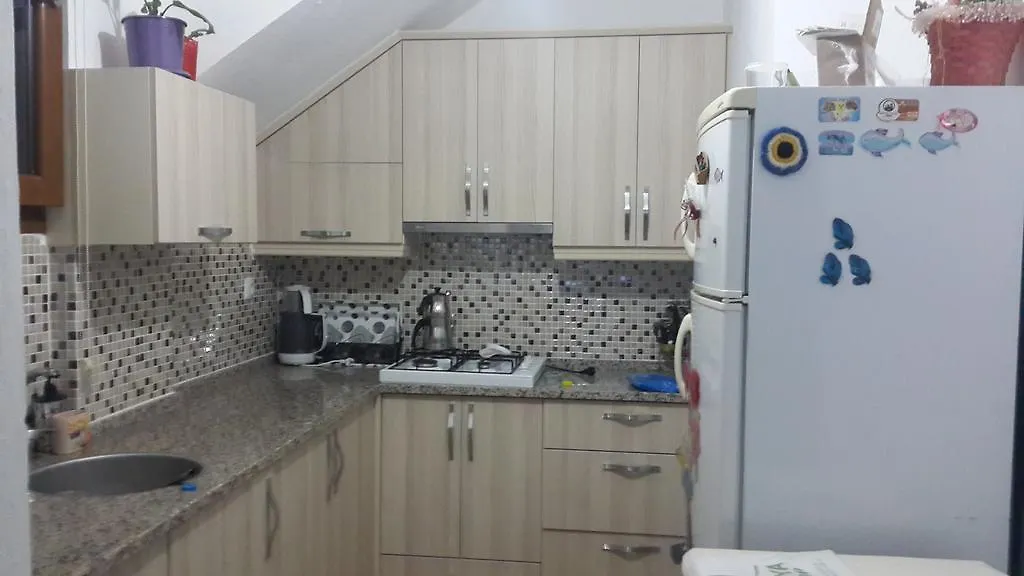 Cebeci Evleri Hotel Palamutbuku Apartment