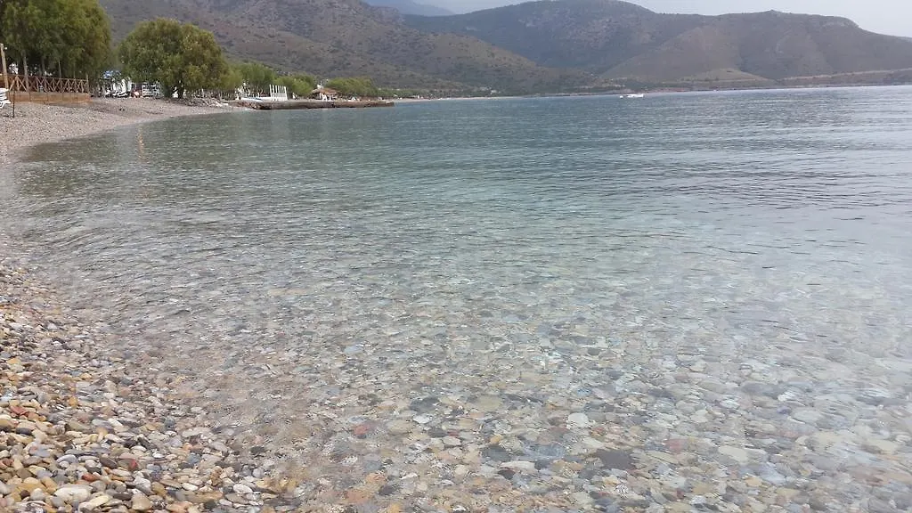 Cebeci Evleri Hotel Palamutbuku Turkey
